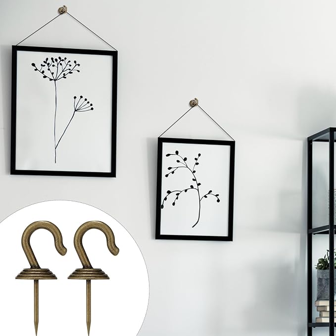 Hotop 30 Pieces Push Pin Wall Hooks Metal Thumb Tack Hangers Iron Alloy Nail Decorative Picture Hooks for 20 Lbs Home Office School Party Supply (Bronze)