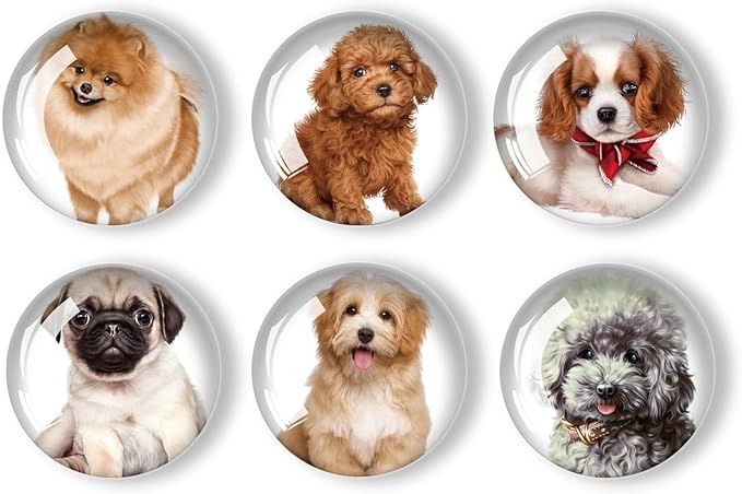 12Pcs Glass Refrigerator Magnet Fridge Sticker,Dog Fridge Magnets Decoration for Crafts,Strong Fridge Magnets for Kitchen, School,Office Whiteboard, Cabinet and Dishwasher