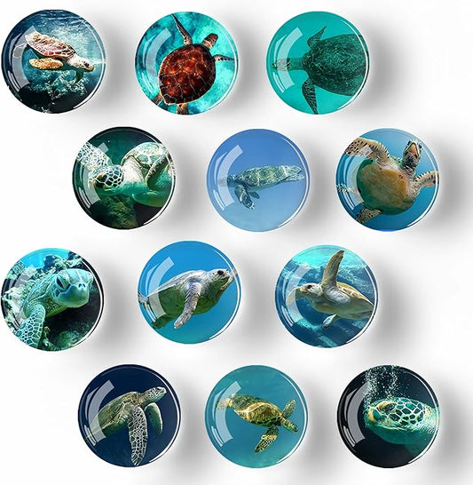 12Pcs Glass Refrigerator Magnet Fridge Sticker,Turtle Fridge Magnets Decoration for Crafts,Strong Fridge Magnets for Kitchen, School,Office Whiteboard, Cabinet and Dishwasher
